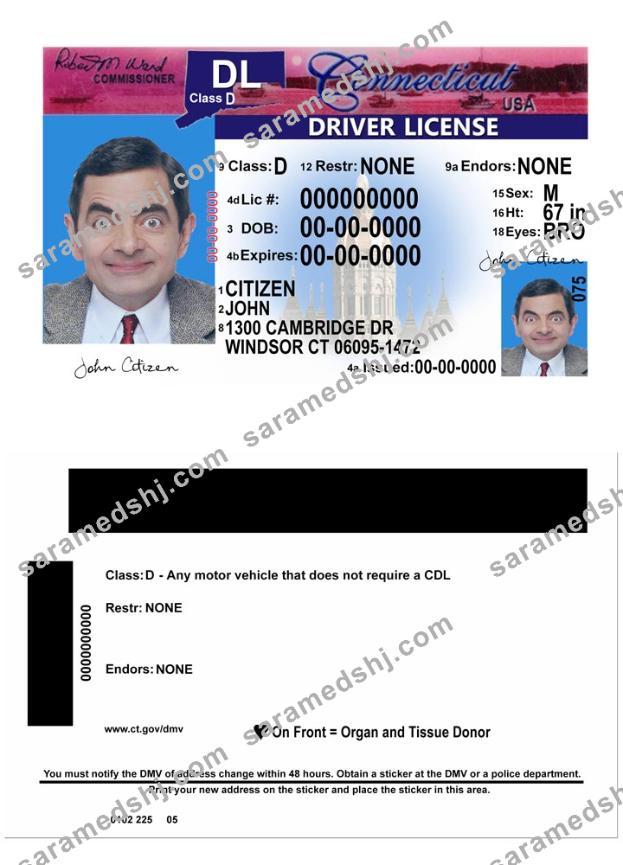 USA Connecticut driving license version 2